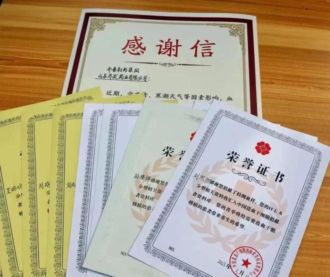 齐发保的职位与成就，探索一个杰出领导者的职业轨迹，齐发保的职业轨迹与成就，杰出领导者的探索之旅