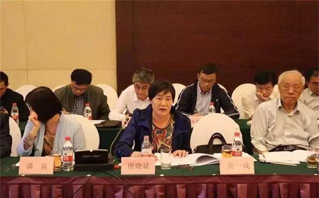 关于部署萨德国家的深度探讨，萨德国家部署策略深度探讨