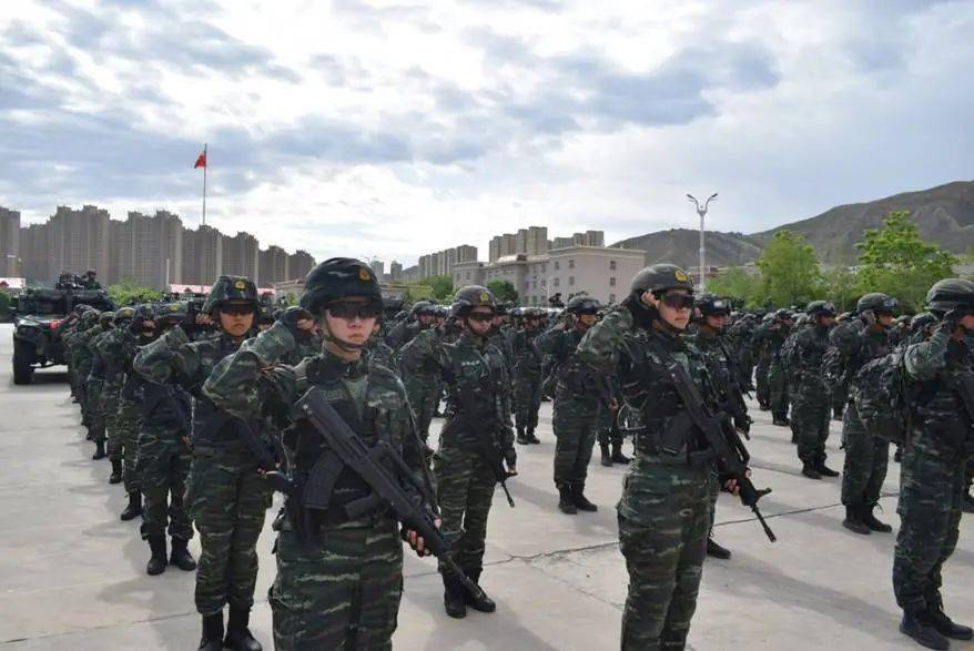 武警部队是否会参与战争，解析与探讨，武警部队是否会参与战争，深度解析与探讨