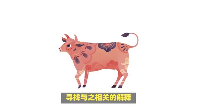 一肖不像必中，探索命运之谜与自我实现的奇妙旅程，命运之谜与自我实现的探索之旅，一肖不像必中揭示的奇妙旅程
