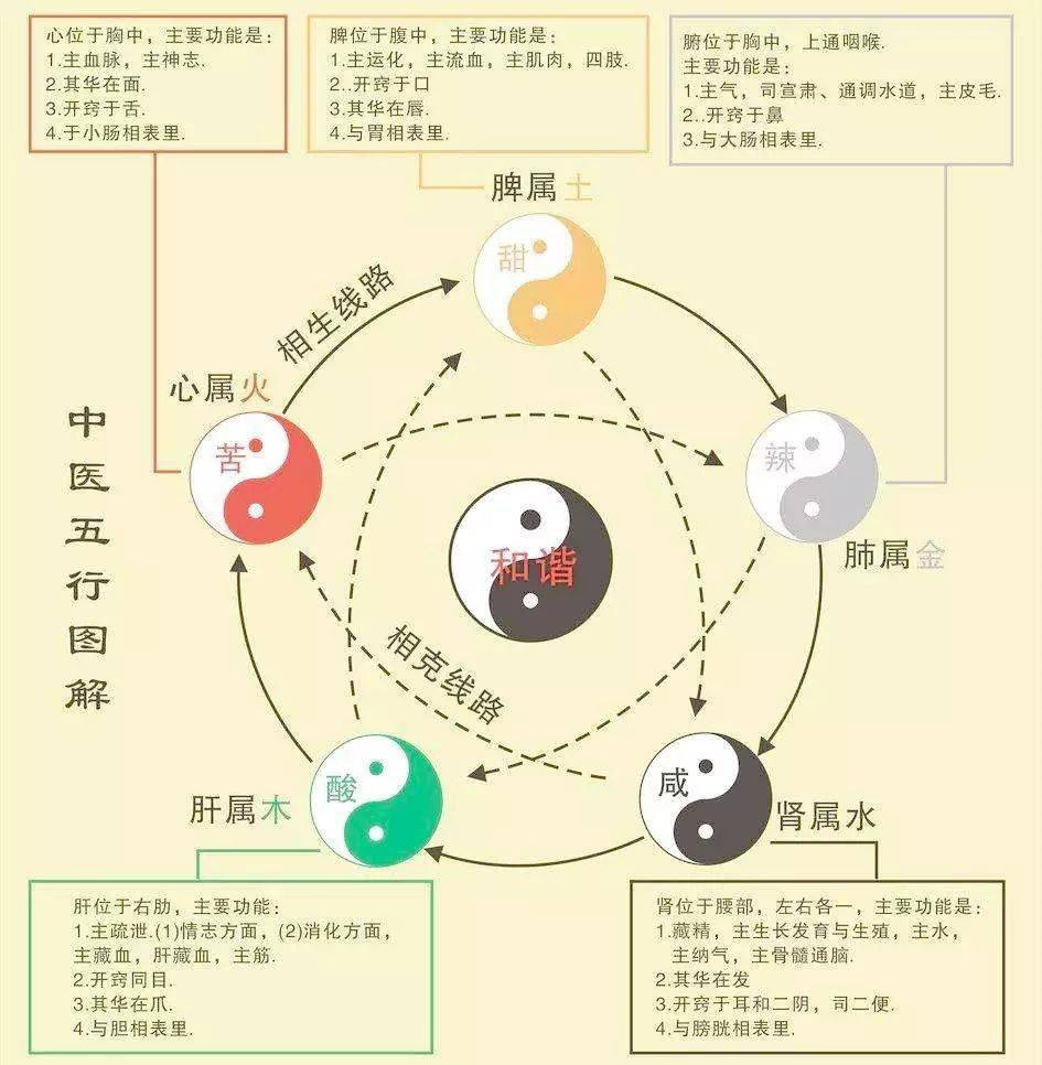 深夜电磁波，邻居间的微妙较量，深夜电磁波，邻居间的微妙较量与互动