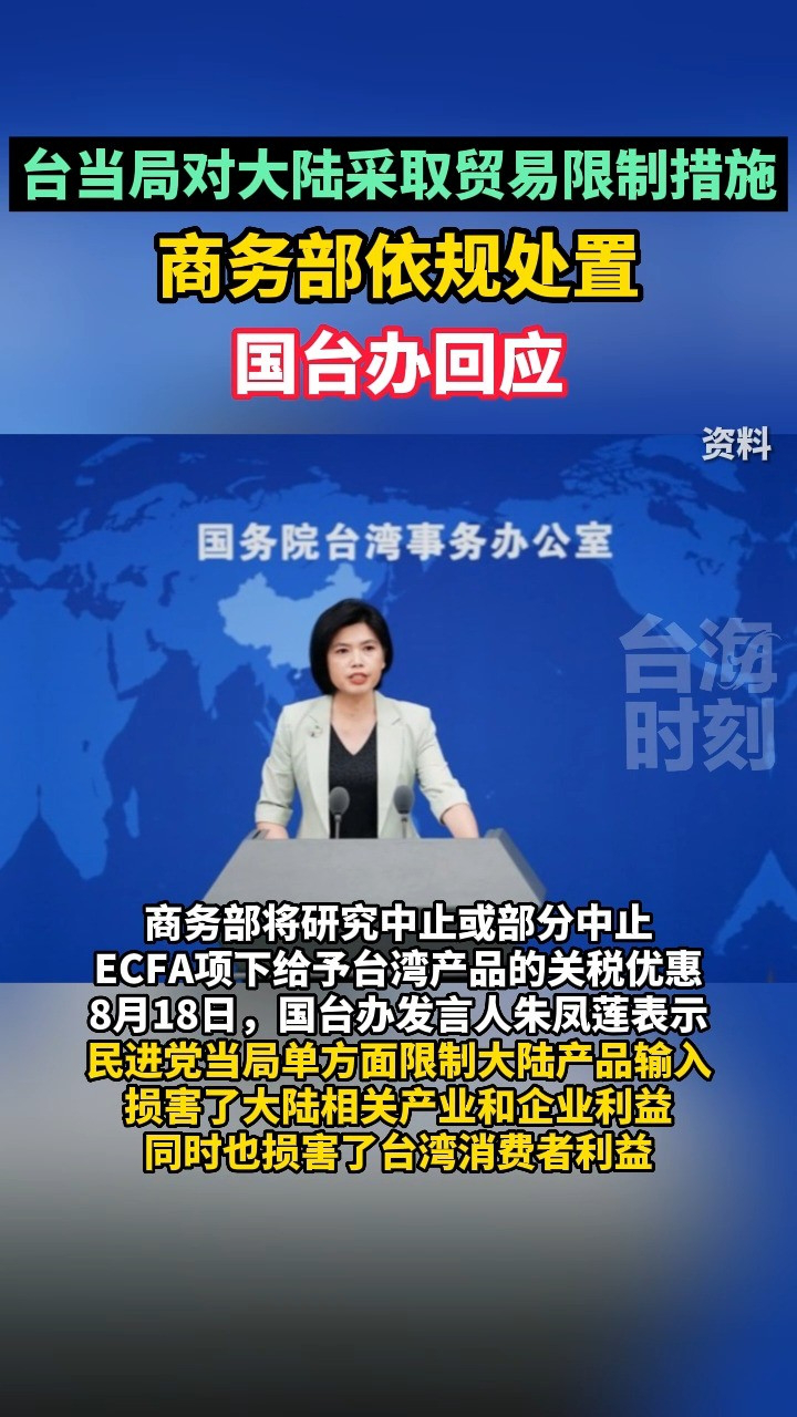 回顾与感悟，东南卫视海峡新干线在2022年的精彩瞬间，东南卫视海峡新干线2022年精彩瞬间回顾与感悟
