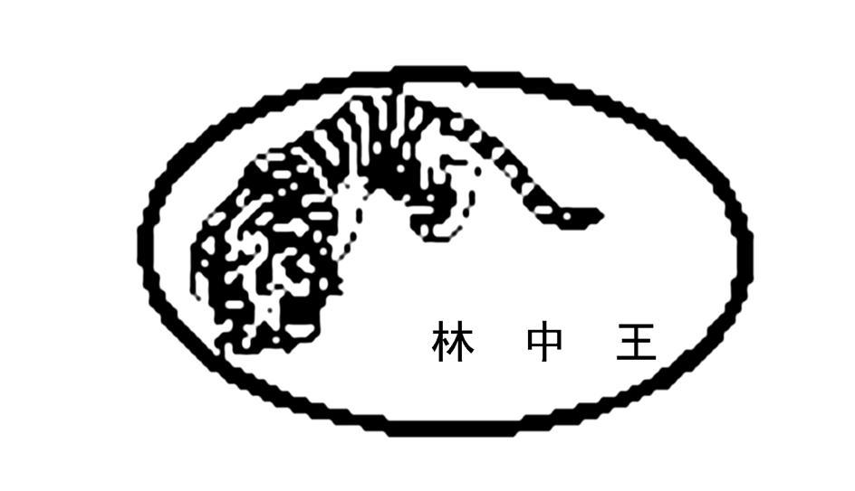 林中之王与王中王，探寻神秘生肖的奥秘，探寻生肖奥秘，林中之王与王中王揭秘