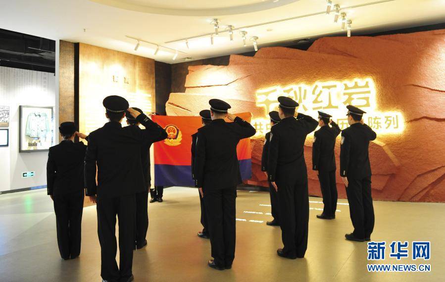 国家安全局与警察职业，职责与角色的探讨，国家安全局与警察职业，职责、角色之探讨
