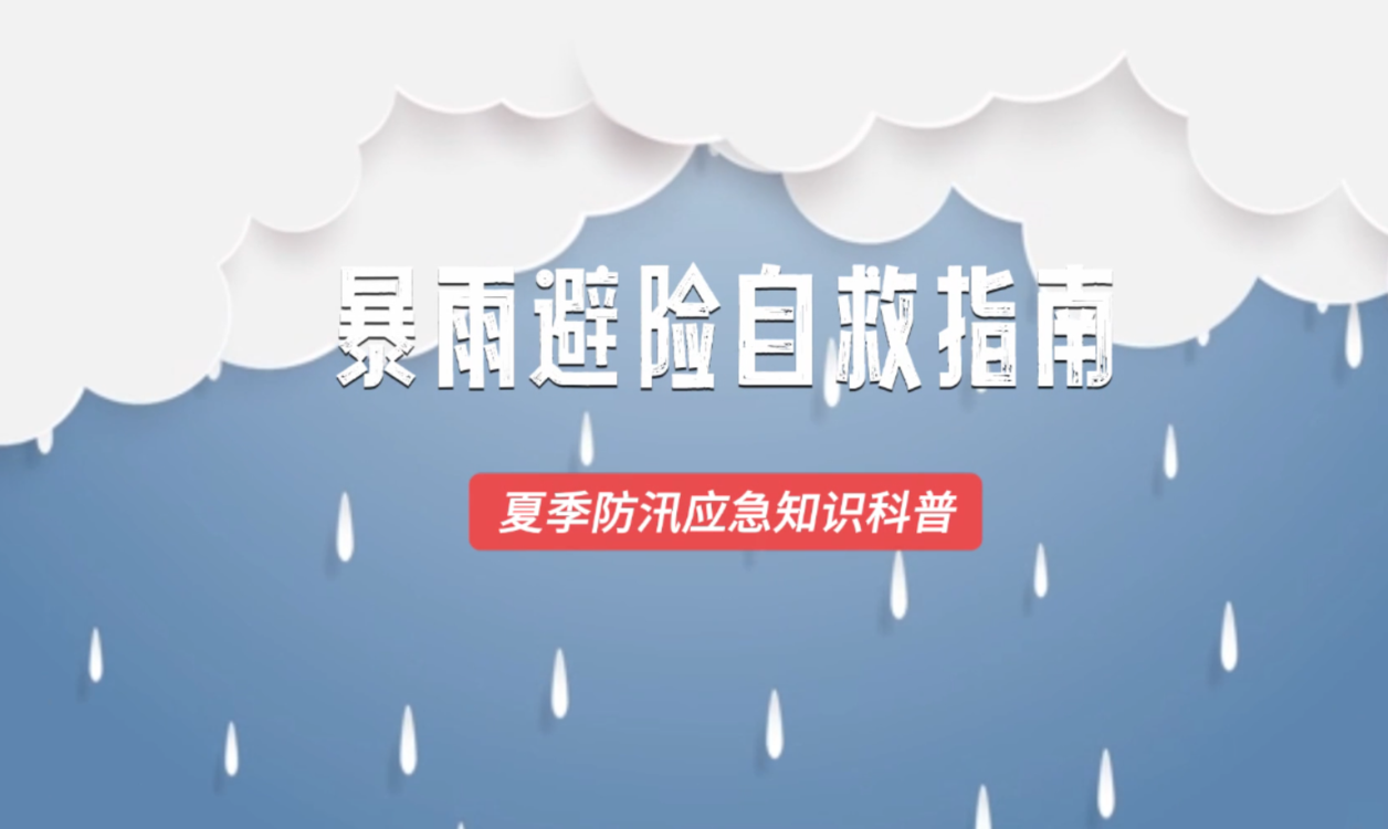 澳门今晚开奖结果，探索彩票背后的故事与期待，澳门彩票开奖背后的故事与期待，探索今晚的开奖结果