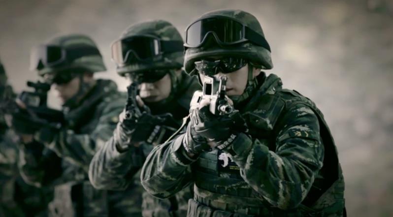 中国武警网最新消息全面解析，中国武警网最新消息全面解读