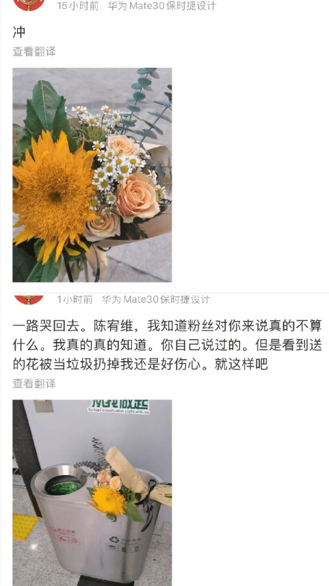 今天也是莬丝花，探寻生命之美与坚韧的力量，莬丝花背后的生命之美与坚韧力量
