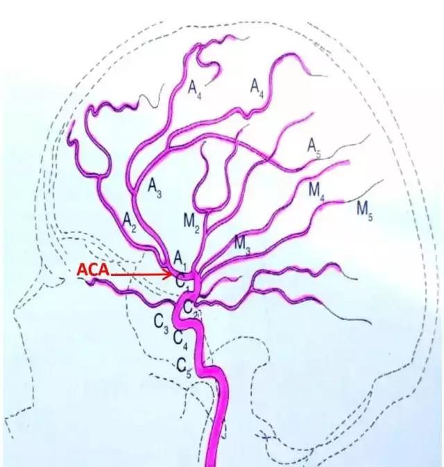 M1A4主战坦克，现代战场的主力担当，M1A4主战坦克，现代战场的主力先锋