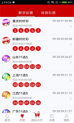 澳门第六期开奖结果图及其相关解析，澳门第六期开奖结果图详解与解析