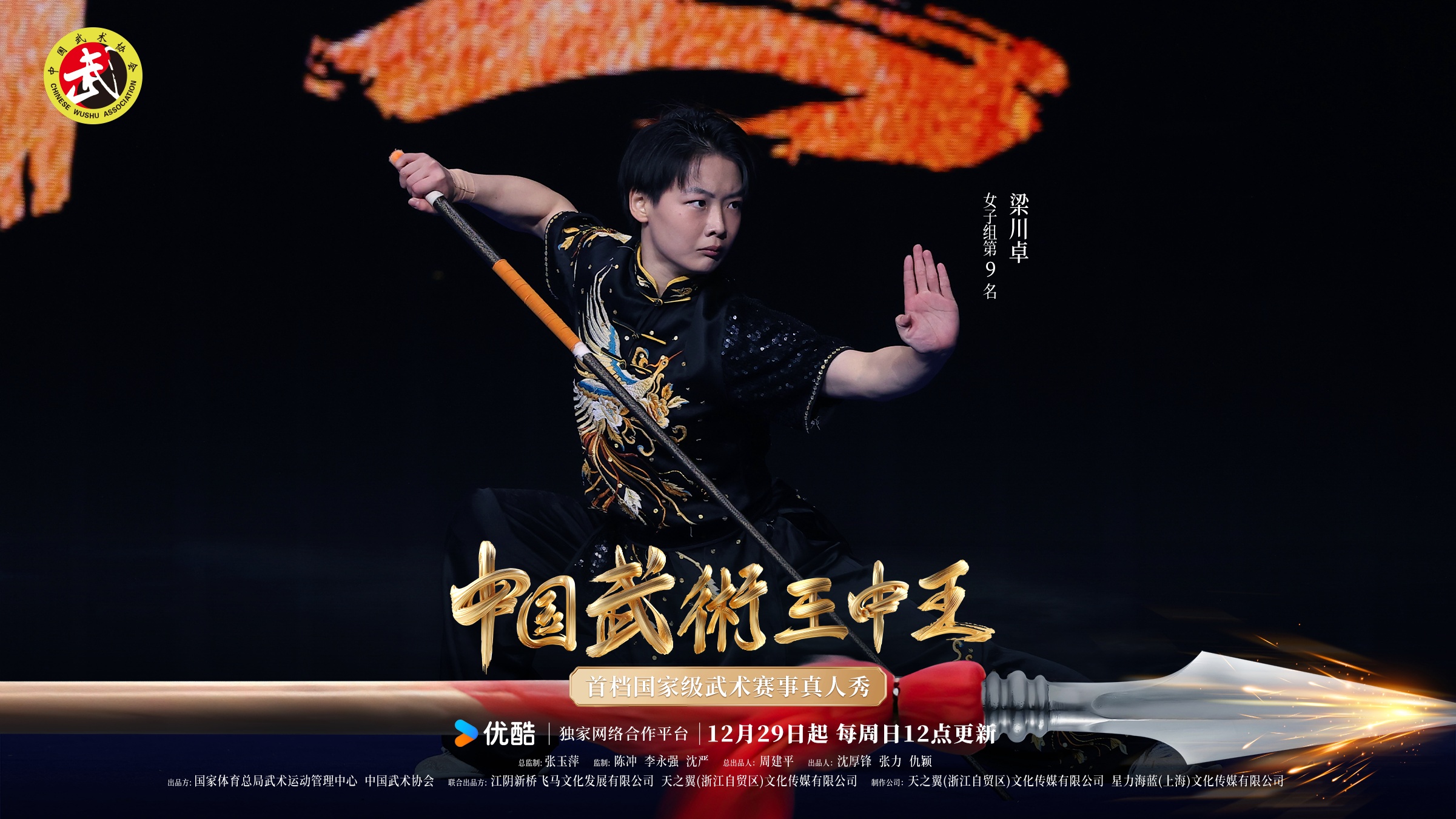 四肖必出一期王中王资料解析与探讨，四肖必出一期王中王资料深度解析与探讨