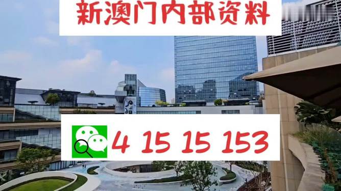 新澳门一肖一码内资料探究，澳门生肖码一肖一码内部资料探究