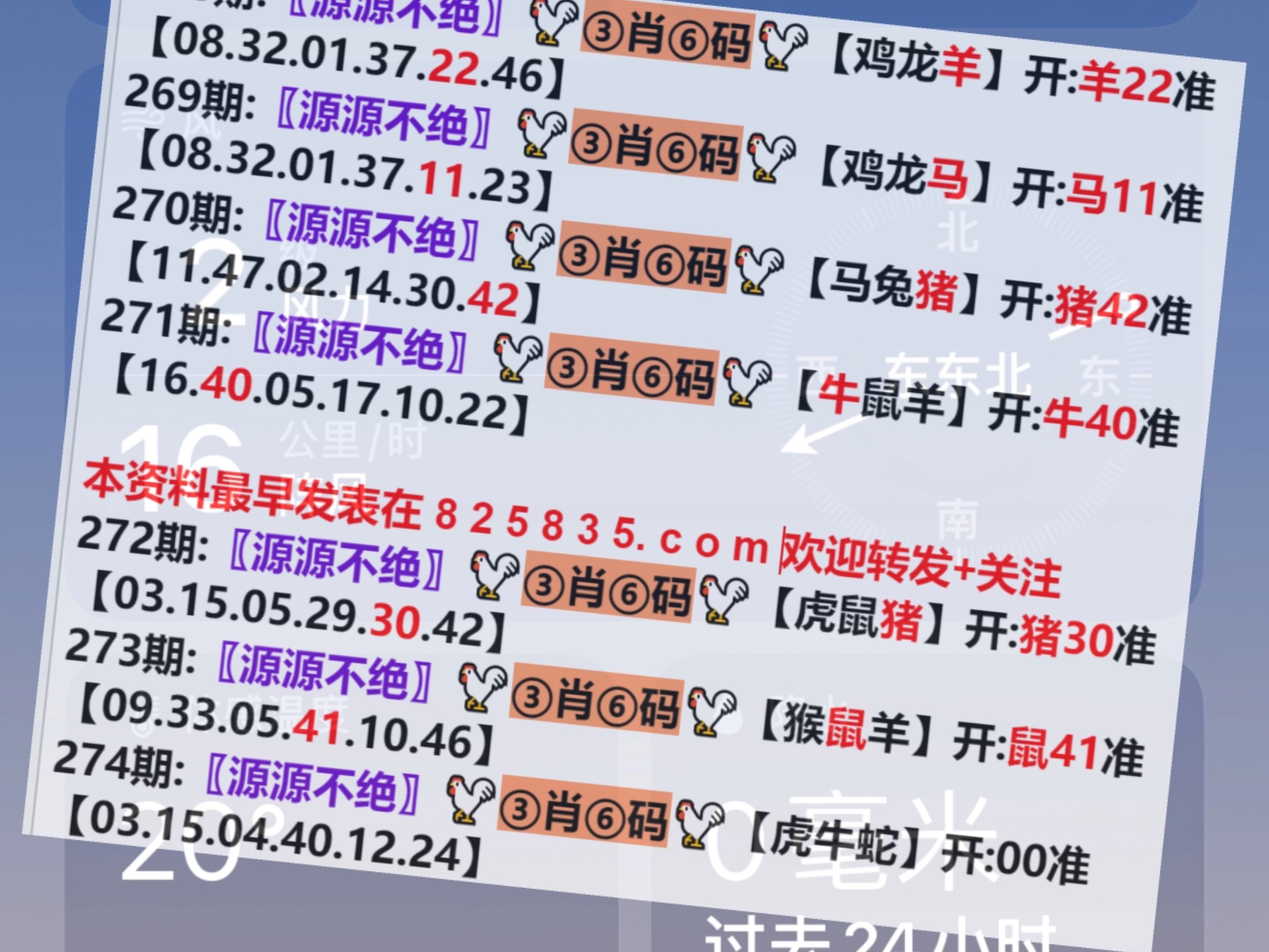 澳门选一肖一码期，探索命运之码的神秘之旅，澳门命运之码揭秘，探索生肖一码的神秘之旅
