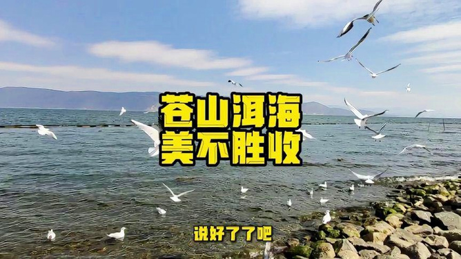 美不胜收——探索无尽之美，探索无尽之美，美不胜收之旅