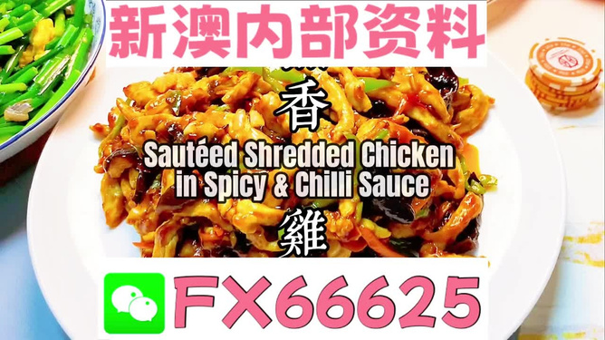 新奥最精准免费大全，探索与解析，新奥最精准免费大全，深度探索与解析
