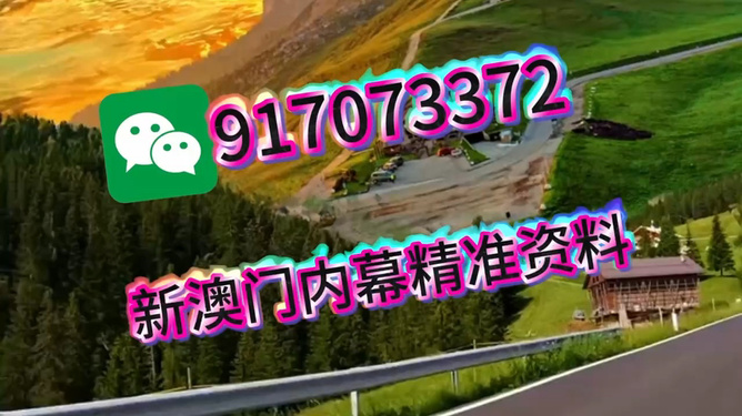 澳门王中王开一肖，探索背后的神秘与魅力，澳门王中王开一肖，背后的神秘魅力探索