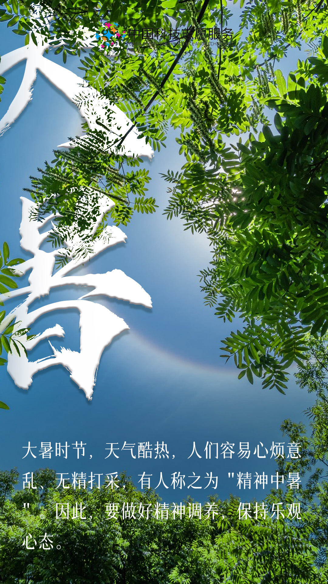 今天大暑，探寻中国传统节气中的暑热与生机，大暑探寻，中国传统节气中的暑热与生机之道