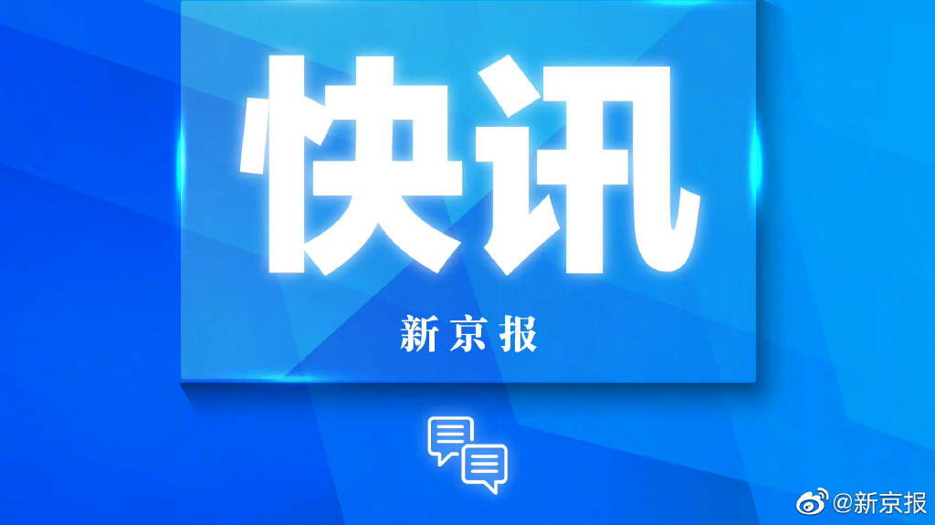 新澳门天天精准免费大全谜，澳门天天精准免费大全谜解析