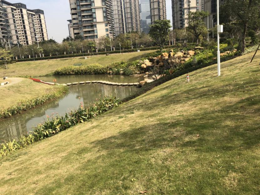 新澳门六开下一期预测，探索与理性分析，澳门彩票预测，理性分析与探索之路
