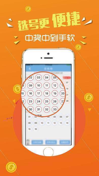 探索正版王中传奇，777777与888888的神秘面纱，揭秘传奇正版背后的神秘面纱，探索数字777777与888888的奥秘