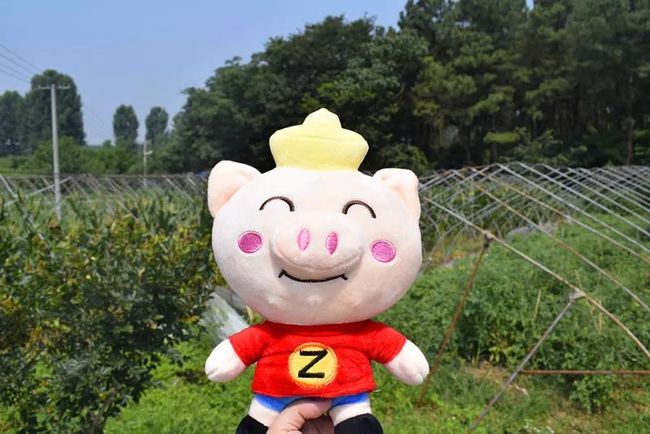 免费管家猪八戒，数字世界中的神奇存在 77777888888，数字世界的神奇守护者，猪八戒免费管家77777888888