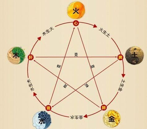 揭秘铁算算盘4887，最准的预测资料揭秘，揭秘铁算算盘4887，最精准预测资料大揭秘