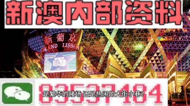 新澳门天天免费精准大全谜语探索之旅，澳门谜语探索之旅，每日免费精准答案揭秘