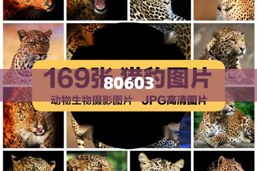 迈向新澳天天开好的未来，一个充满希望和机遇的展望（2025年），展望2025，新澳天天开好，迈向充满希望和机遇的未来