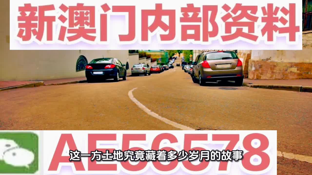 澳门特马今晚开奖，探索彩票背后的故事与期待，澳门特马今晚开奖，彩票背后的故事与期待揭秘