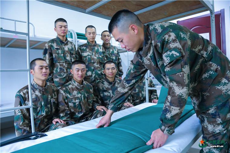 武警与陆军的区别，职责、任务与特色的差异分析，武警与陆军职责、任务与特色差异深度解析