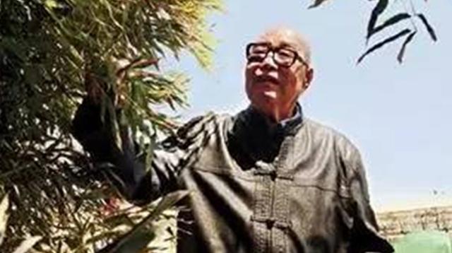 开国少将王扶之近况及其卓越贡献，开国少将王扶之近况与卓越贡献概览