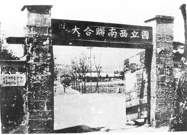 米171和米8的区别，两款产品的深度对比与解析，米171与米8深度对比解析，差异解读与产品解析