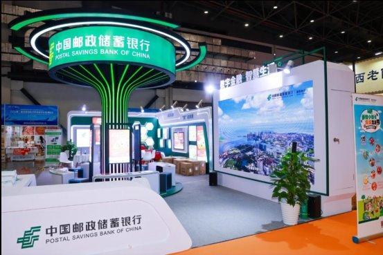 新澳2025今晚资料分析，新澳2025今晚资料解析报告