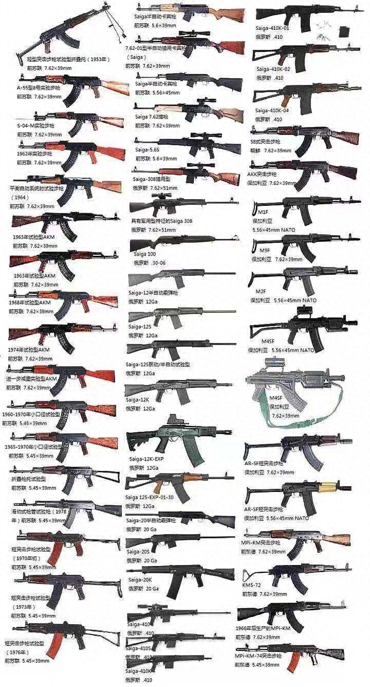 枪支图片与名称大全，一览无遗的兵器世界，兵器世界一览，枪支图片与名称大全