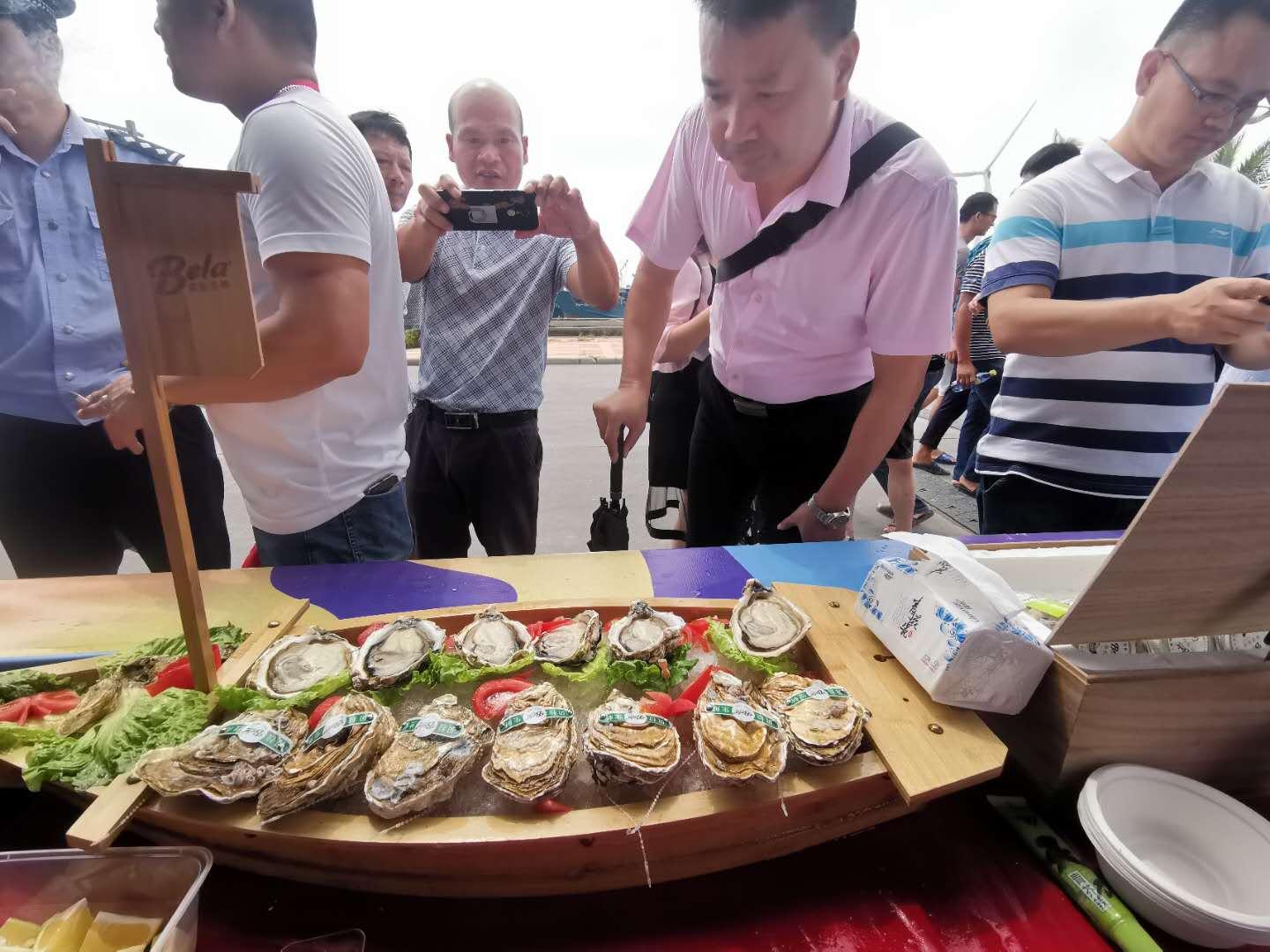 台海最新24小时直播，实时观察与深度解析，台海实时观察与深度解析直播报道最新动态