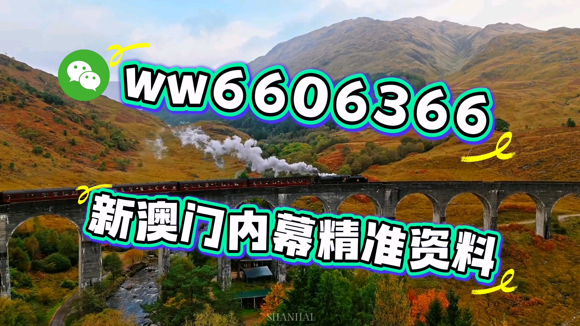 澳门今晚必开一肖一马，探索运气与命运的神秘面纱，澳门今晚运势揭秘，探索运气与命运的神秘交汇点