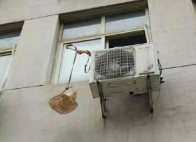 天涯论坛鬼话莲蓬，网络神秘现象的解读，天涯论坛莲蓬解读网络神秘现象，揭秘鬼话背后的真相