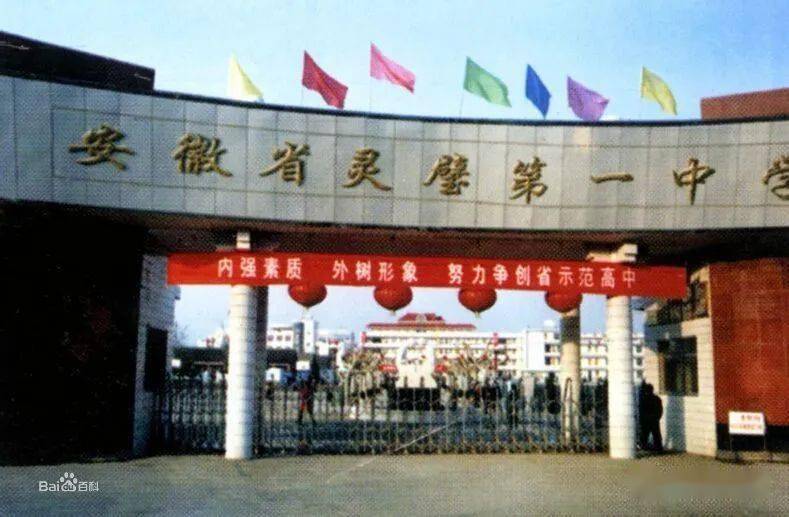 天涯论坛关于安徽灵璧县中学事件的深度探讨，安徽灵璧中学事件深度解析，天涯论坛热议的背后