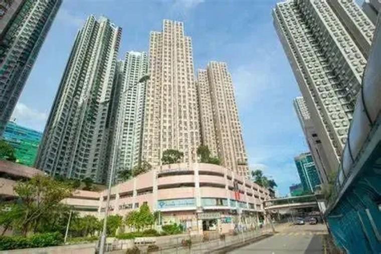 香港一码一肖资料大全，探索与解读，香港一码一肖资料探索与解读指南
