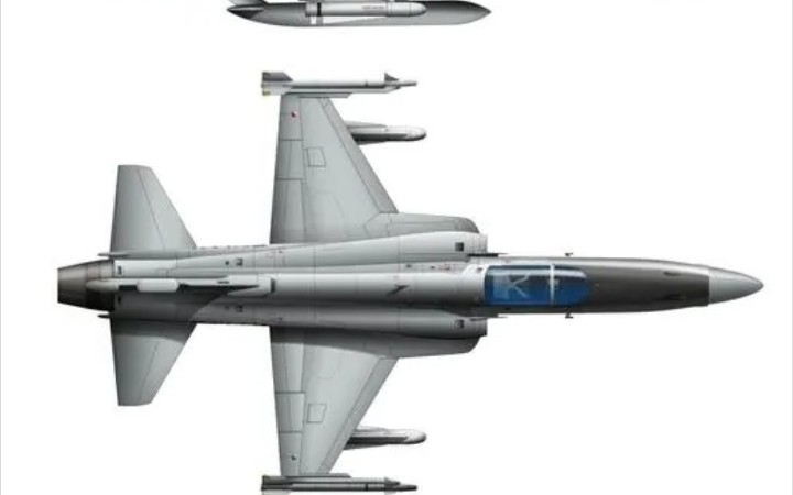 F-5战斗机简介，F-5战斗机概览