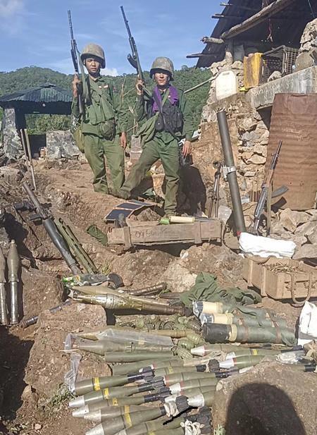 解放军报如何查看PDF版，解放军报PDF版查看指南
