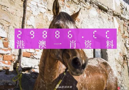 揭秘刘伯温与白小姐，关于492cc一肖特马的传奇故事，刘伯温与白小姐，揭秘关于特马传奇的传奇故事