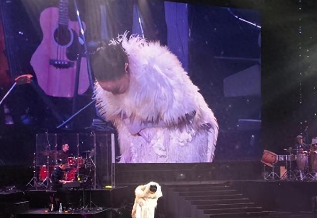 澳门彩票开奖结果查询，探索新澳门开奖记录与未来展望（2024年开奖记录查询），澳门彩票开奖结果查询，回顾新澳门开奖记录与未来展望（2024年最新开奖记录查询）