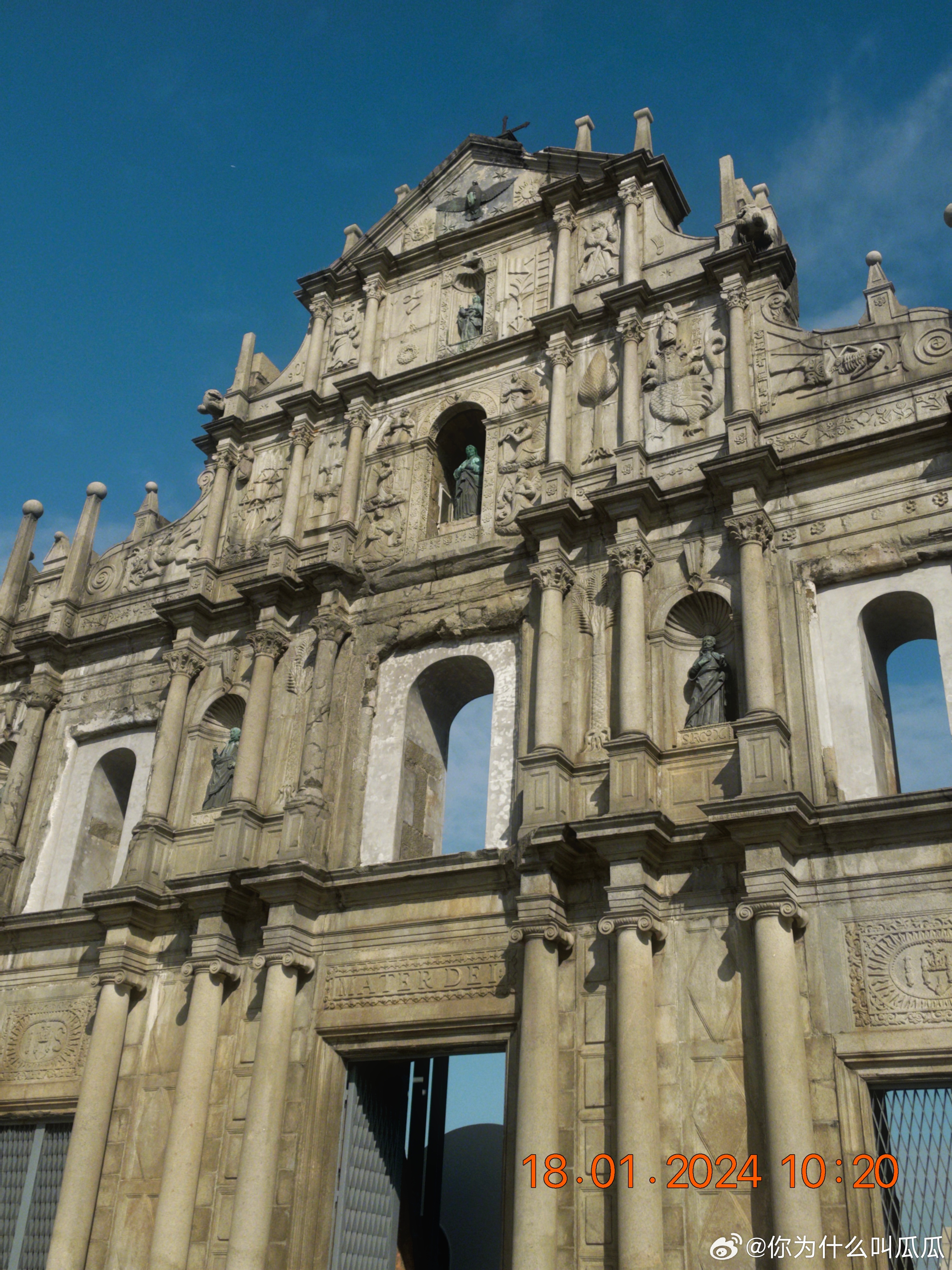 大三巴一肖一特一肖中的奥秘与魅力，大三巴一肖一特一肖的奥秘与独特魅力探索