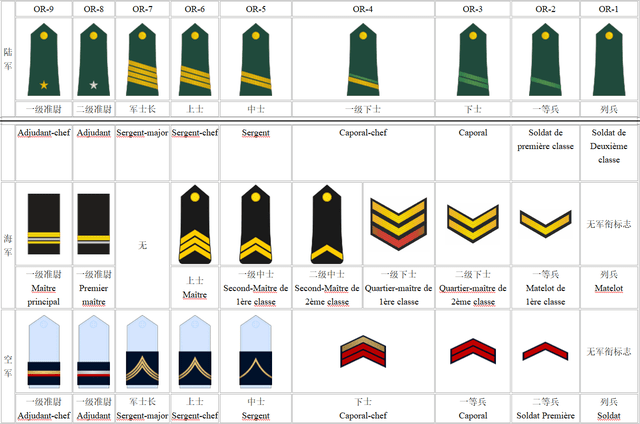 利比亚军队最高军衔,探究与解析,利比亚军队最高军衔,探究与详解