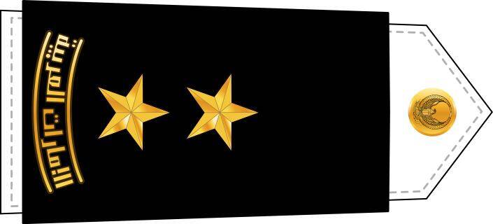 利比亚军队最高军衔,探究与解析,利比亚军队最高军衔,探究与详解