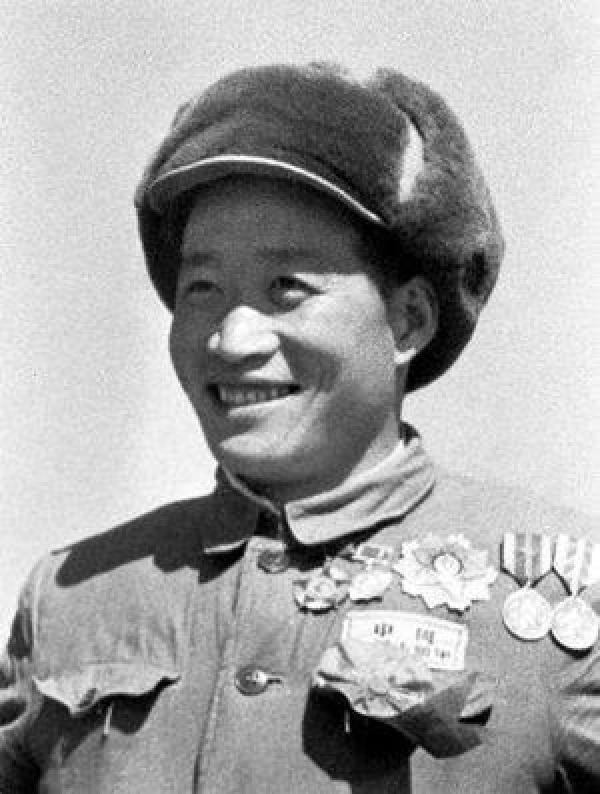 中国人民志愿军的作者,历史与文学的交融,中国人民志愿军,历史与文学的交融之笔背后的故事