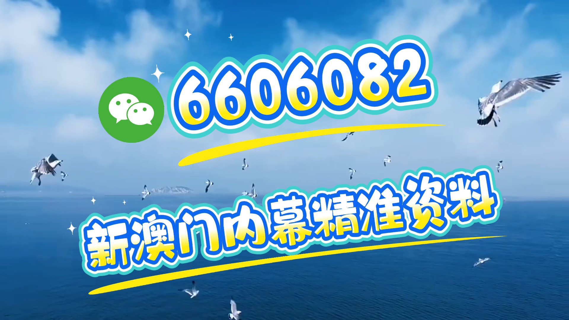 澳门四肖八码期期准，揭秘一个神奇的预测现象，澳门四肖八码期期准，神秘预测现象揭秘