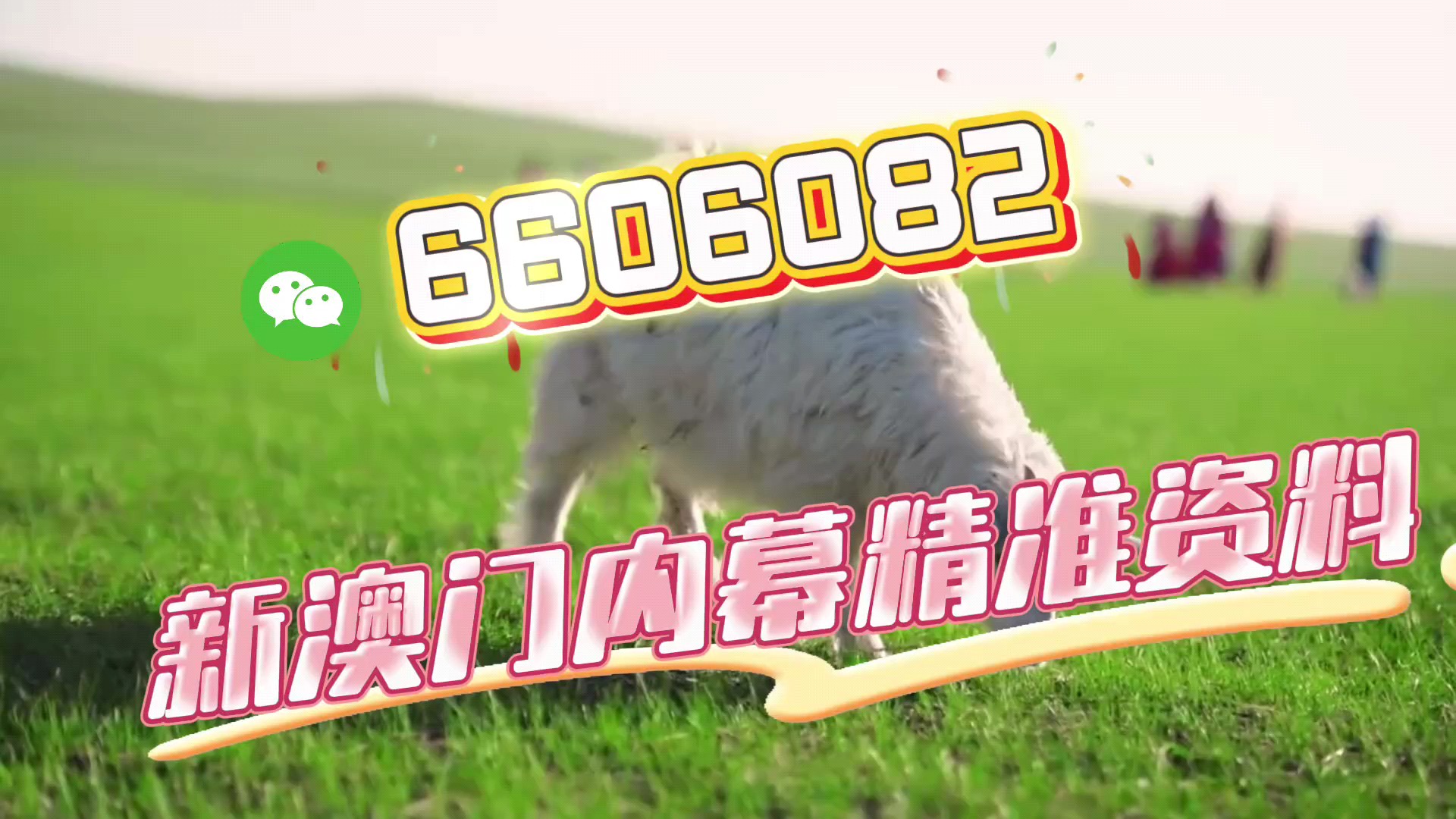 澳门今晚必开一肖一特9995——探索幸运之门，澳门幸运之门，揭秘今晚必开一肖一特9995的秘密