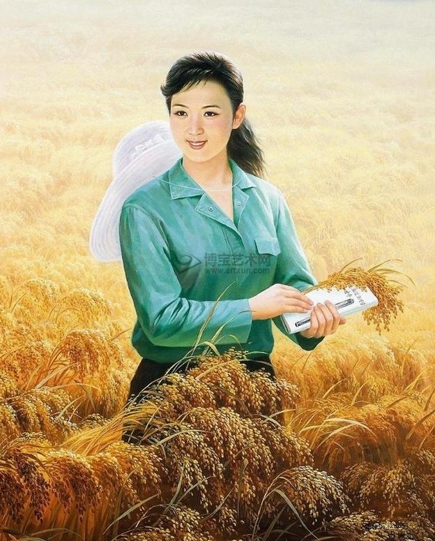 朝鲜歼-10战斗机,探索与解析,朝鲜歼-10战斗机的探索与解析