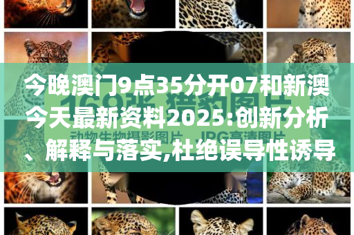 新澳最新资料概览，迈向未来的蓝图（2025展望），新澳未来蓝图概览，迈向2025的崭新发展资料分析